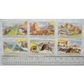 Set of 6 Italian cards - Rifugi Alpini