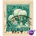 India 1965 - SG 514 - Mangoes 50p green - used 2