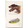 an0577 - Mans Best Friend, Steeplechase, Artist...