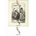 Gipsy Dance, Spain, Book Illustration (Print), ...