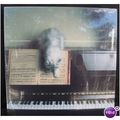 Treasure Collection Kitten off the Keys 500+ Pi...