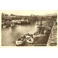 Berwickshire ST ABBS Harbour Postcard (3)