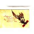 Vintage Postcard - A Sprig o' Hielant Heather F...