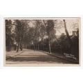 Dorset Road Merton Park Postcard RP Surrey