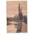 The Poplars River Wey Guildford Postcard 1915 S...