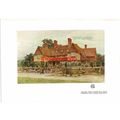 Durford Wood, Petersfield, Hants, Book Illustra...