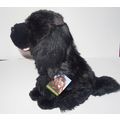 Newfoundland 12" toy dog as it is, personalised...