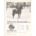 twin brook farm 1972 antezeyn skowronek arabian...