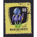 HUNGARY 1961 MEDICINAL PLANTS 40f BLUE IRIS USE...