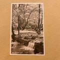 Bradbourne Park Lakes, Sevenoaks Unused RA Seri...