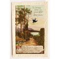 vintage Greetings postcard - Joy on your 21st B...
