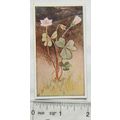 Vintage: Dutch card Jac. P. Thijsse, Lente No. ...