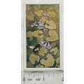 Vintage: Dutch card Jac. P. Thijsse, Lente No. ...