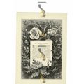 Gay Winter Gardens, Illustrated Poetry, Book Il...