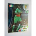 Kolo Toure FOIL - Ivory Coast - 2014 Panini Adr...