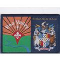 Scout Double Badge UK Birmingham/Rea Valley - W...
