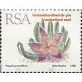 SOUTH AFRICA, SUCCULENT, Stapelia grandiflora, ...