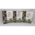3 Packs 100 Clear Mini Christmas Lights Green W...