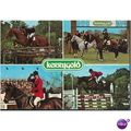 GB Postcard - Kerrygold Intl. 1981 Hickstead. W...