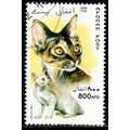 Afghanistan 1996 Cat 800AFG Used Stamp