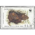 JAMAICA, MAMMAL, Jamaican coney, white 1996, $2.50