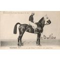 Ieliotrope La France Chevaline Race 1885 Horse ...