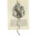 Sweet Singer Of Israel In Old Age, Biblical Ima...