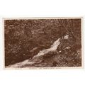 Waterfall Lady Bagot's Drive Ruthin Postcard RP...