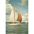 Yacht GLADEYE Postcard (J. Arthur Dixon SS.9)
