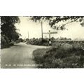 Berkshire RUSCOMBE Village Postcard (Frith TWF....