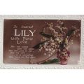 To Dear Dearest Lily With Love Novelty Name RPC...