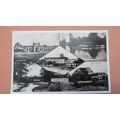 Shaws real photo Postcard -Trentham Garden scen...