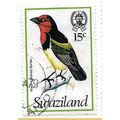 1976/1978 SG 244 - #2 fine used (o) - BIRD