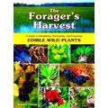 The Forager's Harvest - A Guide to Identifying,...