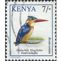 KENYA, BIRD, Malachite Kingfisher, Alcedo crist...