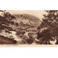 Standard size printed postcard of The Gardens L...