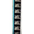 KIDS MIX PK - KTQ - E0106b . 1 STRIP OF 5 - 35M...