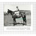 C5454) S Hayhurst Horse Jockey Kerstin - 1959 C...
