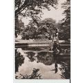 (84) AVIGNON. Le bassin du Jardin des Doms - Ed...