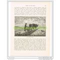 FRENCH PEASANT FARMER, FRANCE, Book Illustratio...