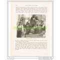 TYPES OF ROMANTIC RACES, ITALY, Book Illustrati...