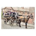 ptc6502 - Yorks - Italian Masserlla Family in H...