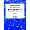 One-Dimensional Nanostructures For Pem Fuel Cell Applications