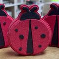 Ladybug Bath Bomb[ ]