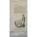 1849 engraving - Drinking horn at Queen's Colle...