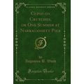Cupid on Crutches, or One Summer at Narraganset...