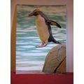 PENGUIN, LONDON ZOO unused postcard by ZSL, Zoo...