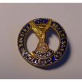 Friends of the RAF Association RAFA enamel badg...