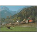 ÖBB Elektro-Güterzuglokomotive 1080 015-9 - Rei...