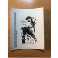 USA Etats-Unis USPS -Publicity Essay Kodak Audu...